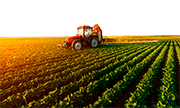 crédito rural e agronegócio